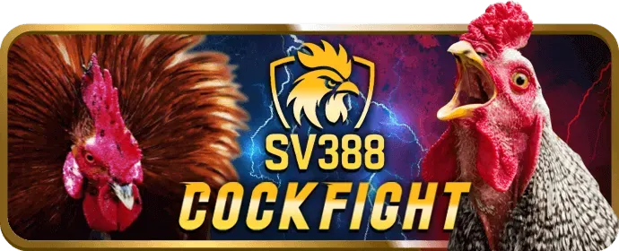 Thiết bị thể thao đa dạng như găng tay boxing, bóng chày, đại diện cho các môn thể thao khác tại luck8 hiện đang mở